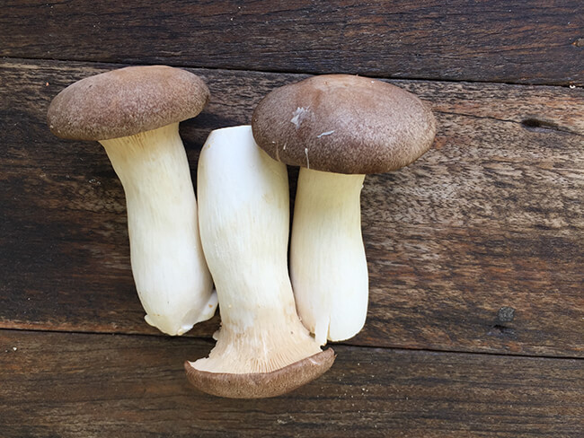 king mushrooms