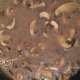 Mushroom Gravy